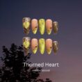BootifulNight-ErsaNailsPressOnNailsBundle_3
