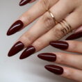 Burgundy-ErsaNailsPressOnNails_3